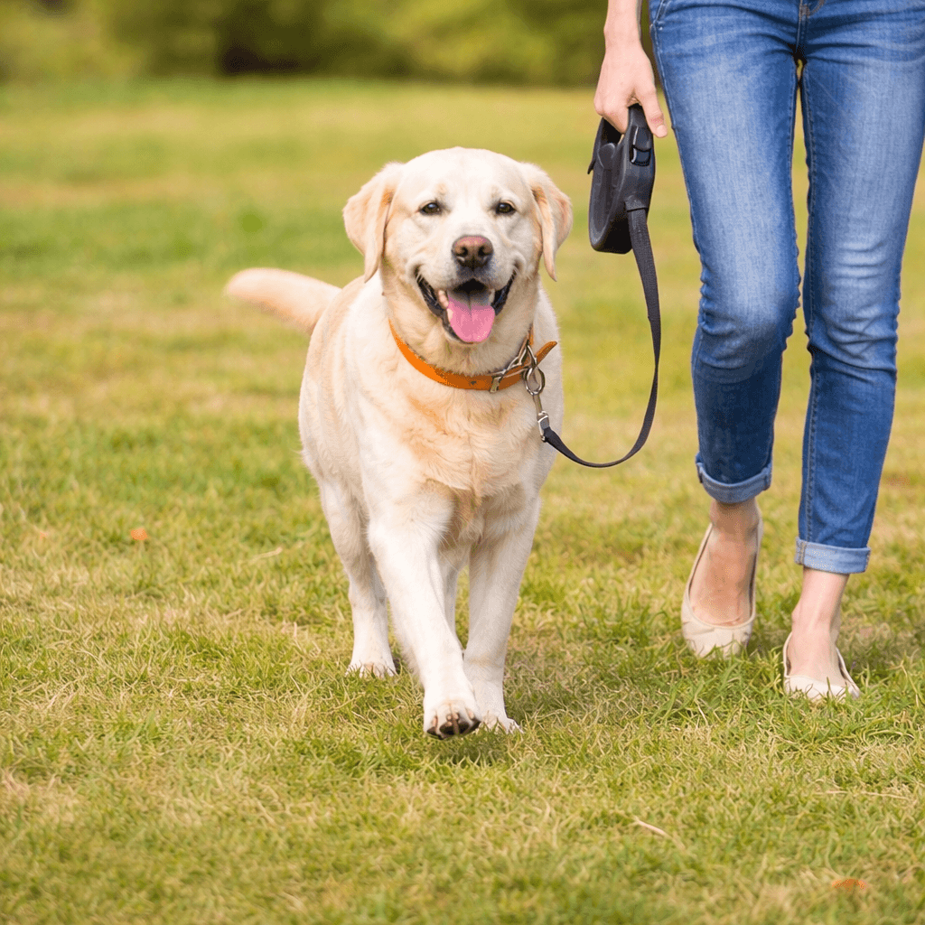 No Touch Dog Pooper Scooper – Pocket-Sized Cleanup Tool by Inovia Store