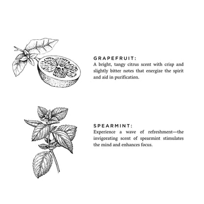 Grapefruit_Spearmint_64300ff8-fccc-4307-bd7b-33f3e71b57eb - Inovia Store
