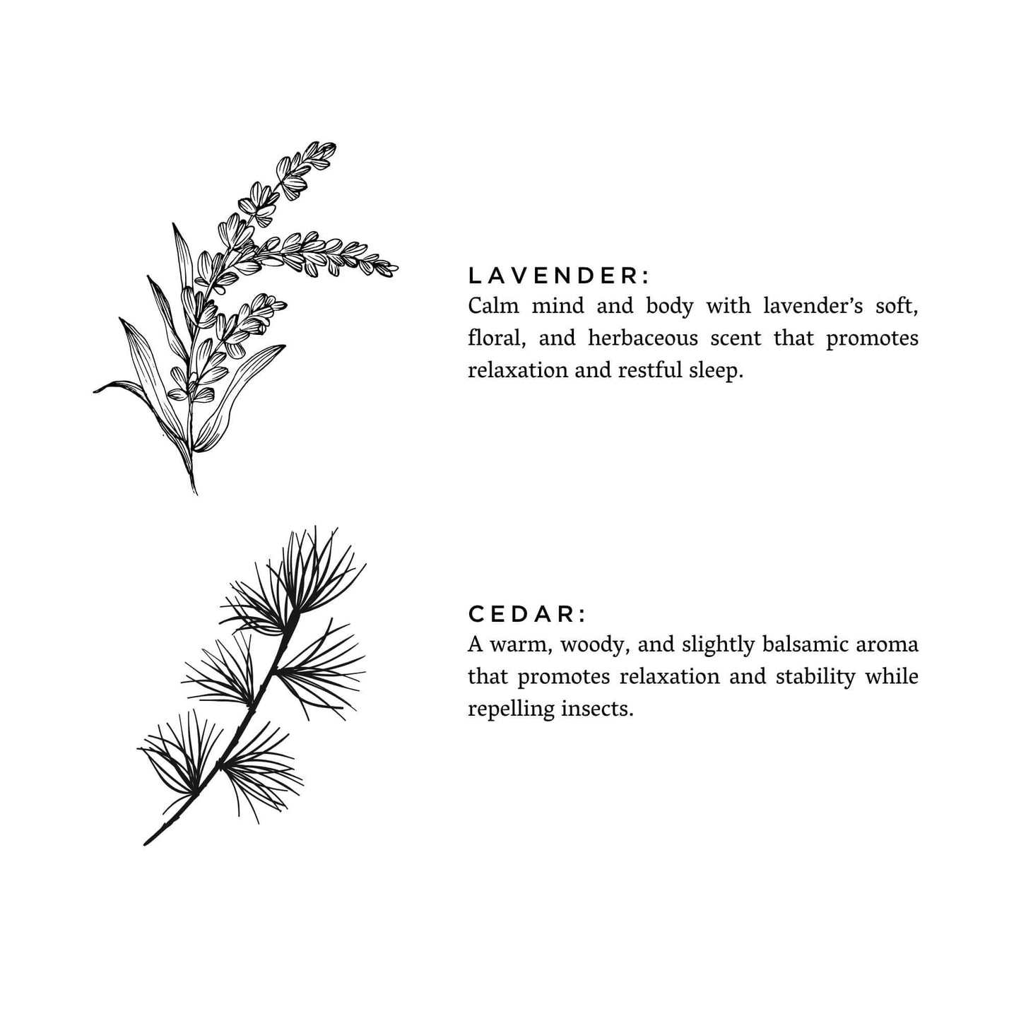 Lavender_Cedar - Inovia Store