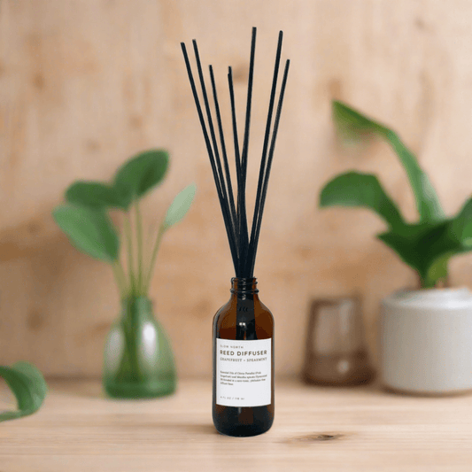 RDGS1 - Inovia Store