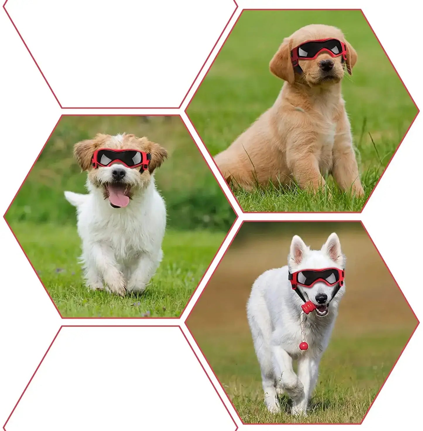 UV Protection Dog Adjustable Sunglasses For Outdoors on dogs playing outside in grass.