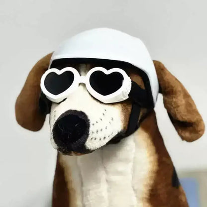 Pet Helmet – Bump-Proof Outdoor Head Protection + PU Outer Shell on small dog with sunglasses, ventilated PU shell and adjustable strap
