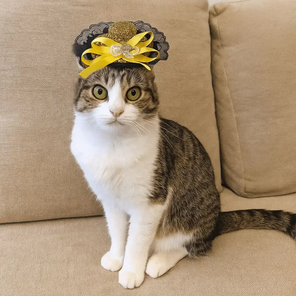 Pet Halloween Hat – Festive Shimmer + Adjustable Elastic Band For Cats And Small Pets cat wearing British-style sequin lace hat with yellow bow