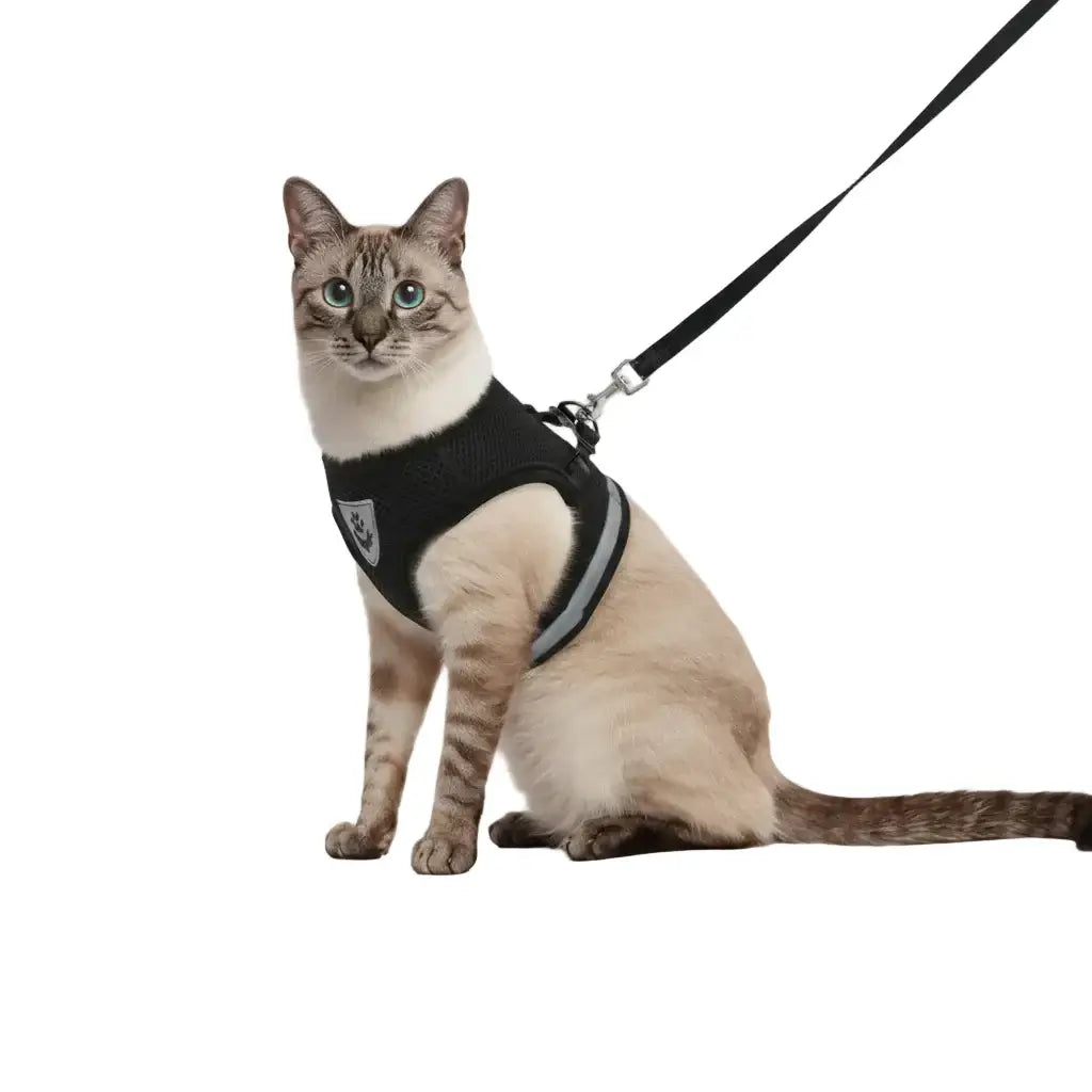 Pet Harness And Leash Set Adjustable Breathable Escape Proof Vest Reflective Collar For Dogs And Cats - black cat wearing breathable escape-proof vest with leash