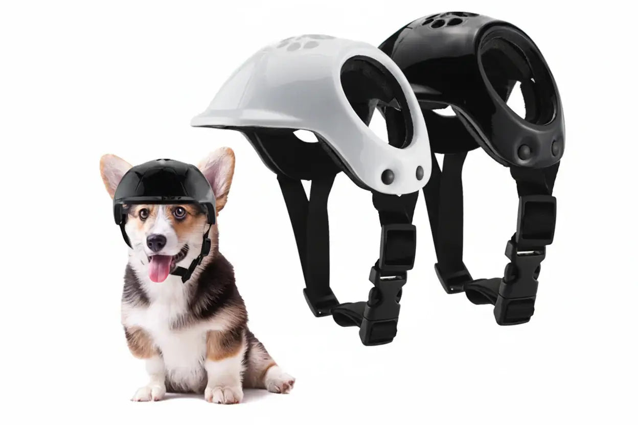Pet Helmet – Bump-Proof Outdoor Head Protection + PU Outer Shell on corgi wearing black helmet, white and black helmets displayed