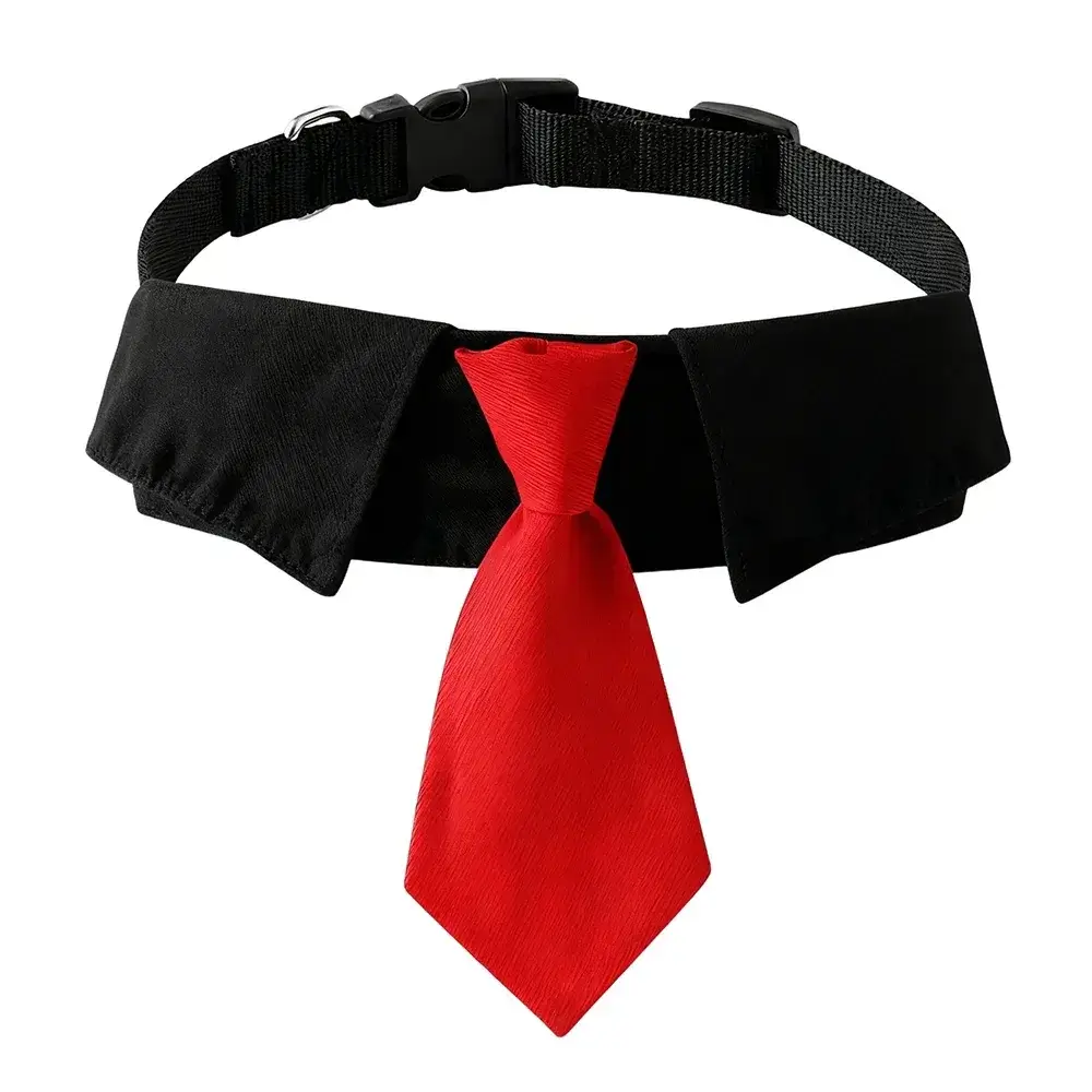 S4a0d97f5fe79499d8d0463b1a6e1ddeei - Inovia Store