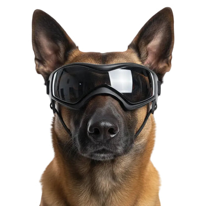 UV Protection Dog Adjustable Sunglasses For Outdoors on a dog, showcasing full eye coverage and adjustable straps.