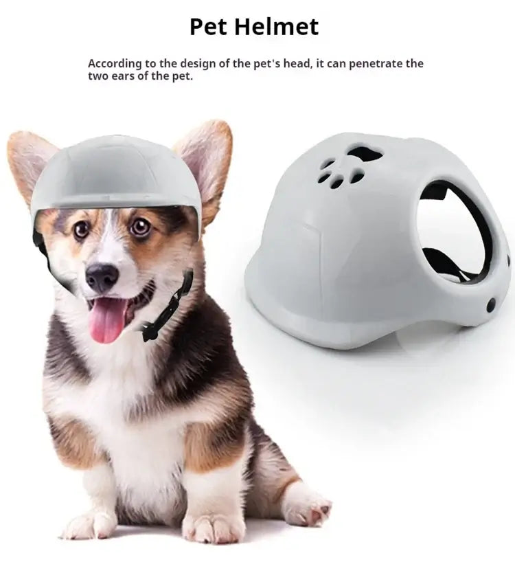 Pet Helmet – Bump-Proof Outdoor Head Protection + PU Outer Shell on corgi, ventilated paw-cut design, adjustable strap, EVA padding