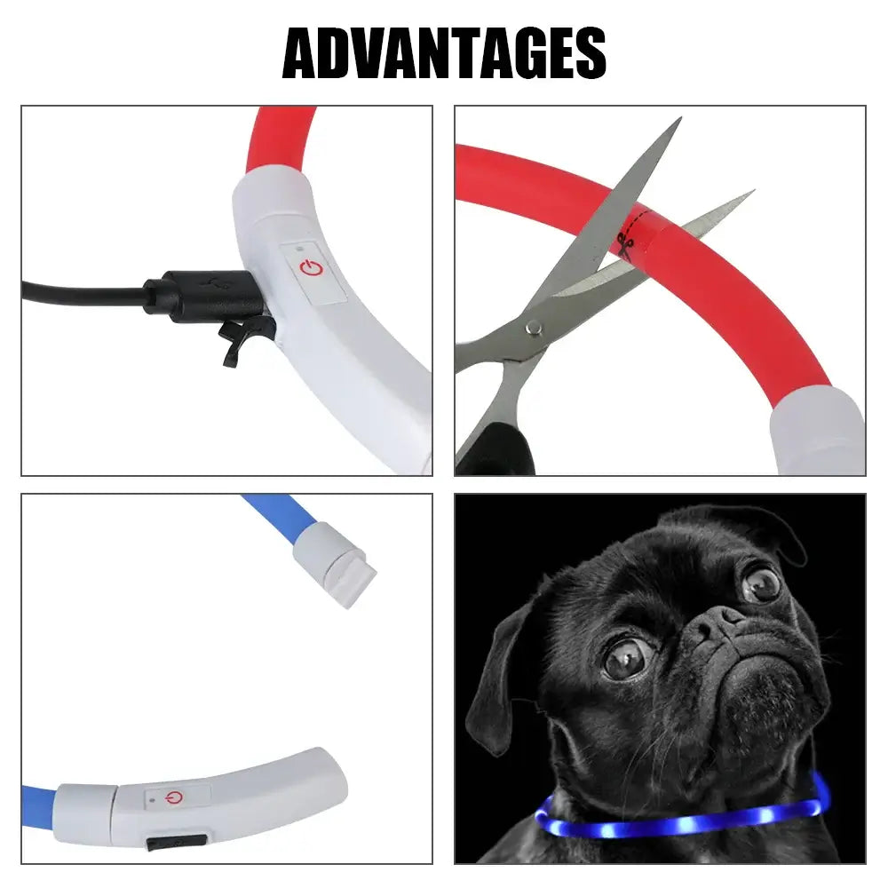 LED dog collar for night safety showing USB charging, cutting advantage, and illuminated pug wearing collar.