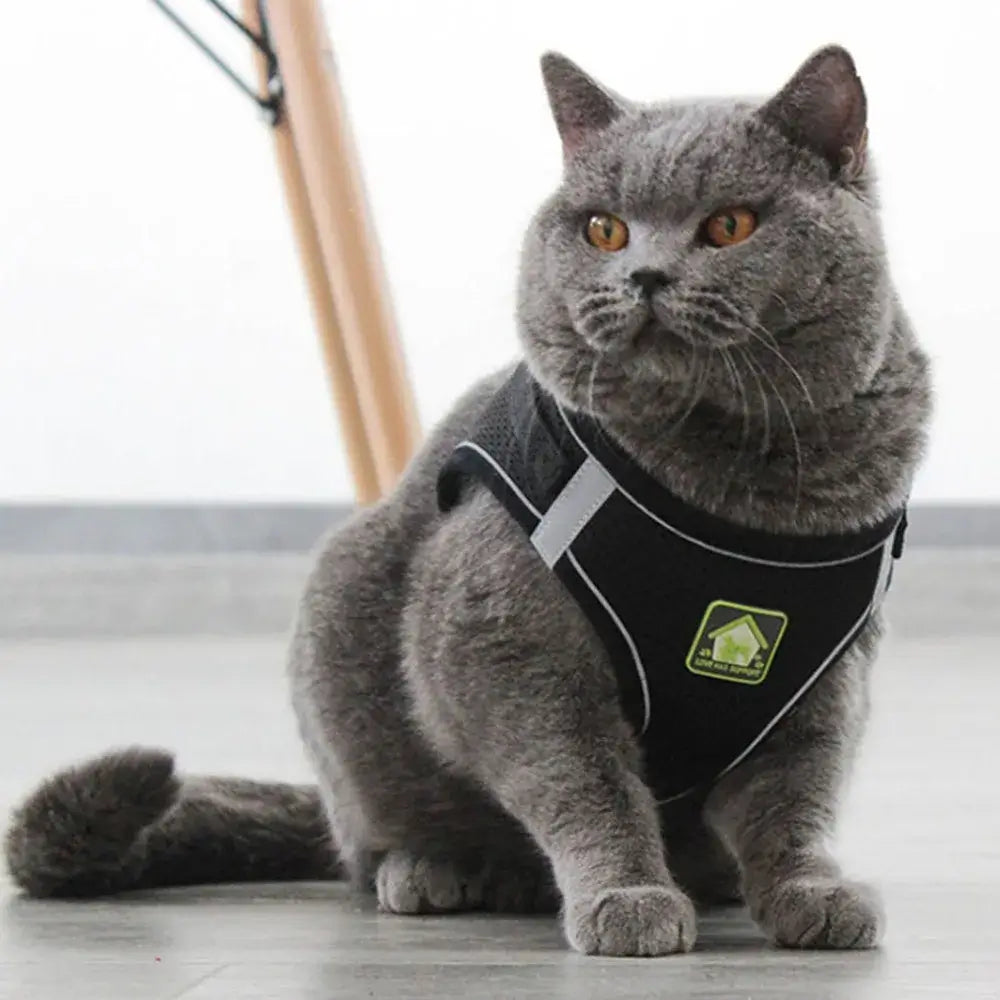 Pet Harness And Leash Set Adjustable Breathable Escape Proof Vest Reflective Collar For Dogs And Cats - gray cat wearing adjustable breathable escape-proof vest with reflective trim