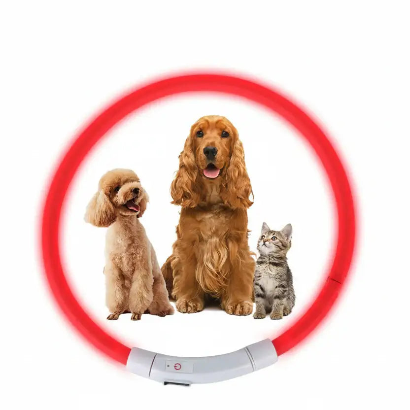 LED dog collar for night safety with glowing red light, featuring two dogs and a cat sitting inside a bright circle.