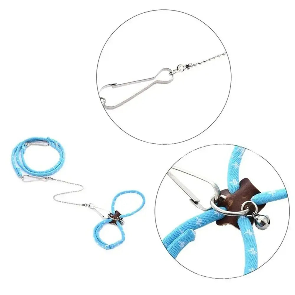 Small Animal Leash – Safe, Secure Walks + Pigskin Strap: blue adjustable pigskin strap leash with breakaway safety and metal core