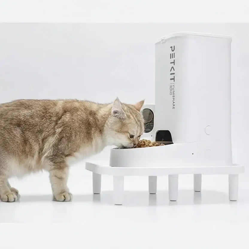 Raised Pet Feeder Stand – Mess-Free Meals + Closed Plastic Housing: white PETKIT elevated feeder with cat eating, dustproof secure fit for Model X426