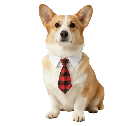 S9329335b7f8449ac8b2f9f3e8afa552fK - Inovia Store