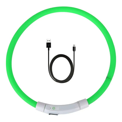 LED dog collar for night safety with USB charging cable, designed for enhanced visibility during night walks.