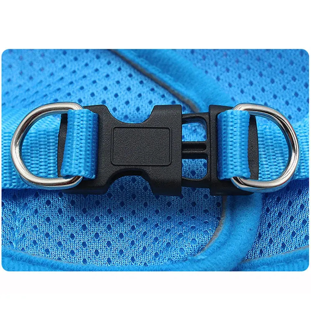 Pet Harness And Leash Set Adjustable Breathable Escape Proof Vest Reflective Collar For Dogs And Cats close-up blue buckle and D-rings