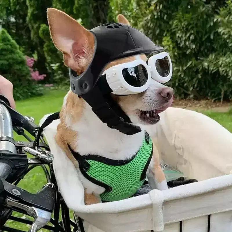 Pet Helmet – Bump-Proof Outdoor Head Protection + PU Outer Shell on small dog wearing goggles and green harness in bike basket