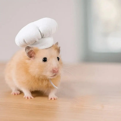 Hamster Chef Hat – Breathable Comfort All Day Wear + Adjustable Fit For Plush Ears cute hamster wearing white chef hat, breathable adjustable band