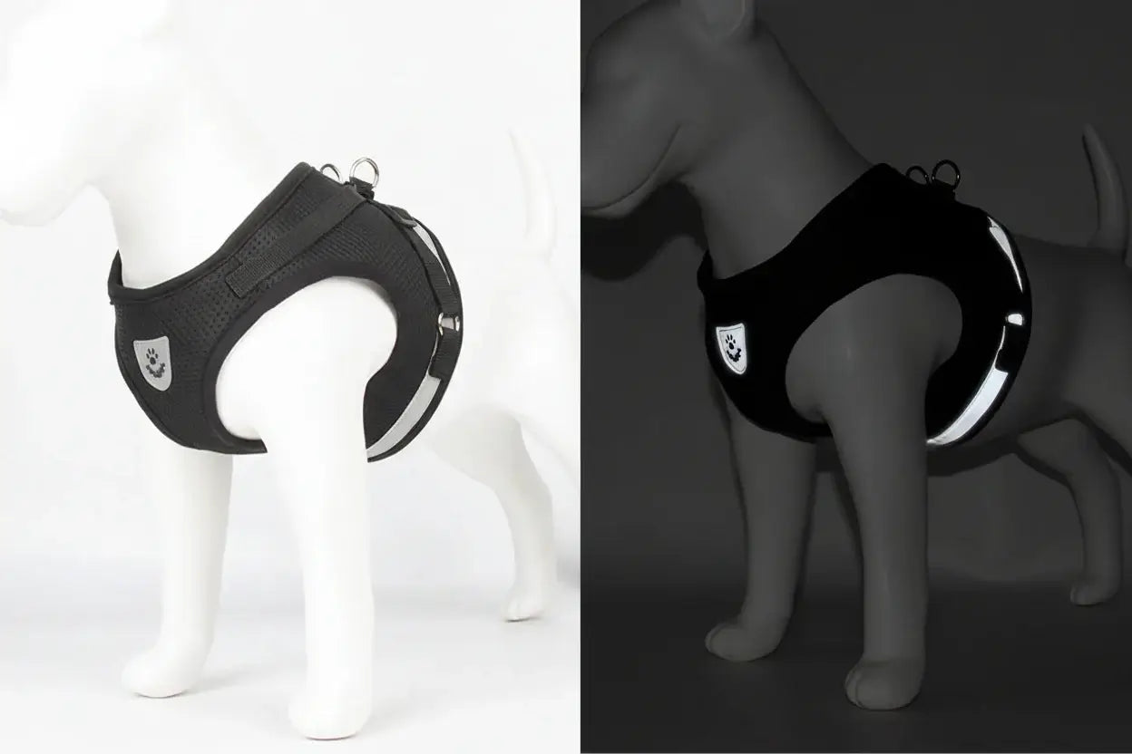 Pet Harness And Leash Set Adjustable Breathable Escape Proof Vest Reflective Collar For Dogs And Cats - black padded escape-proof vest with reflective trim