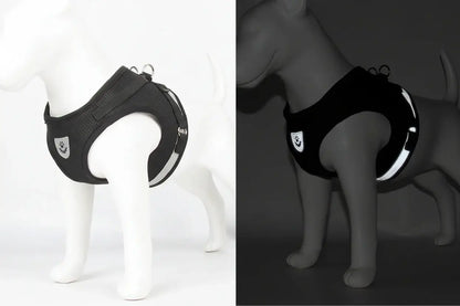 Pet Harness And Leash Set Adjustable Breathable Escape Proof Vest Reflective Collar For Dogs And Cats - black padded escape-proof vest with reflective trim