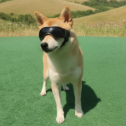 UV Protection Dog Adjustable Sunglasses For Outdoors on a Shiba Inu standing on green grass.
