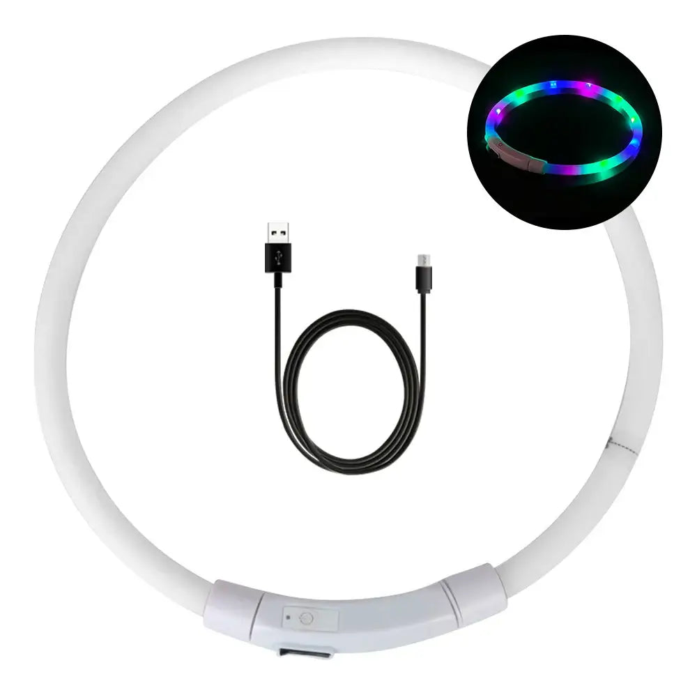 LED dog collar for night safety with USB charging cable, providing high visibility for nighttime walks.