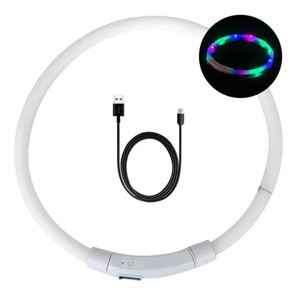LED dog collar for night safety with USB charging cable, providing high visibility for nighttime walks.