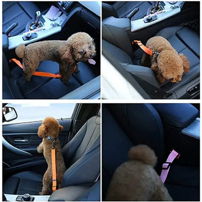 Dog Car Harness – Calm, Secure Rides On Every Trip For Safer, Stress-Free Travel + Quick-Release Clip: small poodle wearing orange nylon tether in car