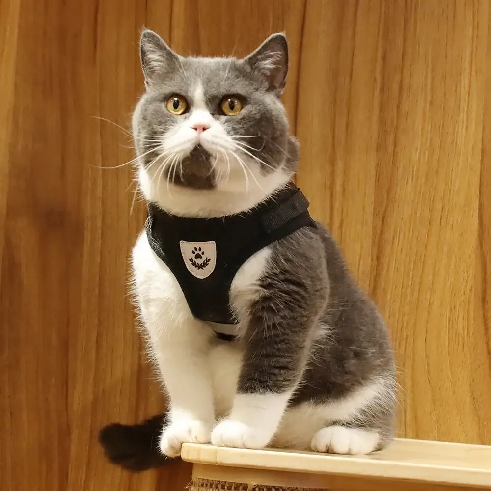 Pet Harness And Leash Set Adjustable Breathable Escape Proof Vest Reflective Collar For Dogs And Cats - gray cat wearing padded escape-proof harness with reflective trim