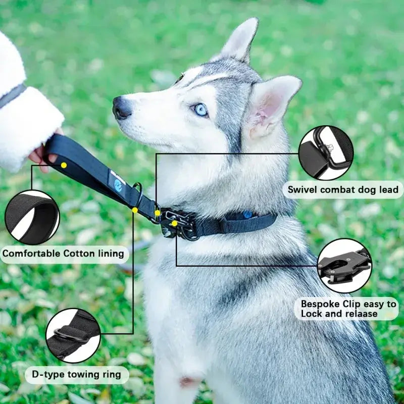 Dog Traffic Lead – Close Control + Padded Neoprene Handle short 30cm padded neoprene handle close-control traffic lead