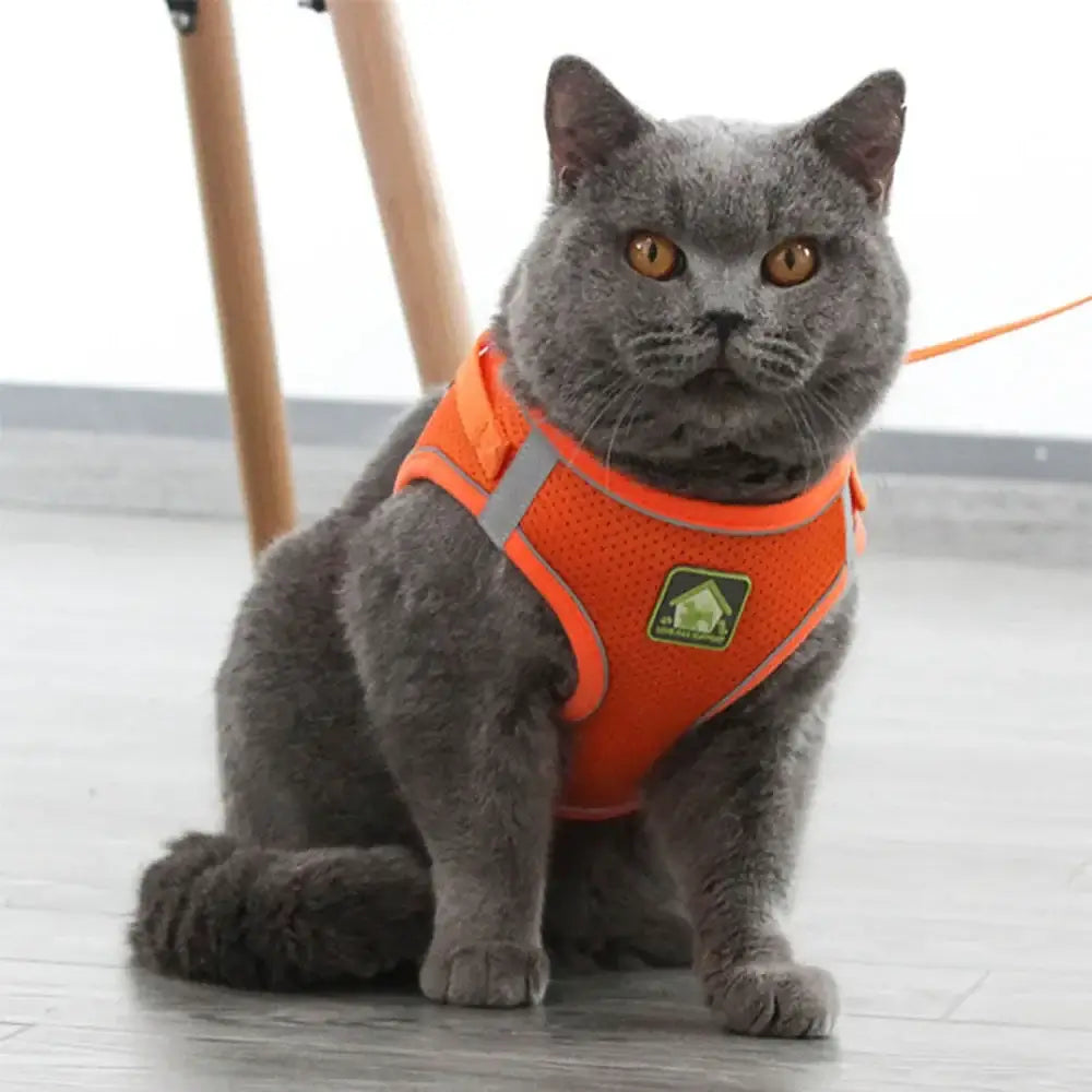 Pet Harness And Leash Set Adjustable Breathable Escape Proof Vest Reflective Collar For Dogs And Cats - orange breathable cat vest with leash