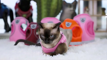 Pet Harness And Leash Set Adjustable Breathable Escape Proof Vest Reflective Collar